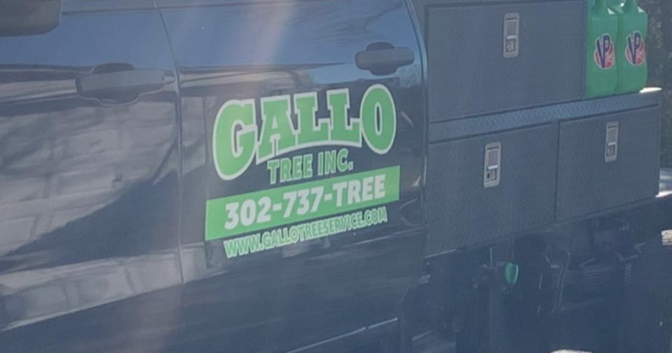Gallo Tree Service, Inc. Facebook ad
