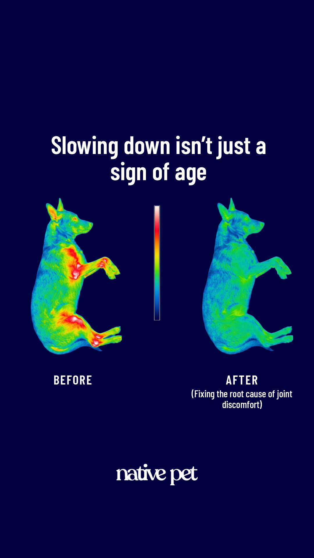 k9healthdaily Facebook ad from Mar 19, 2026