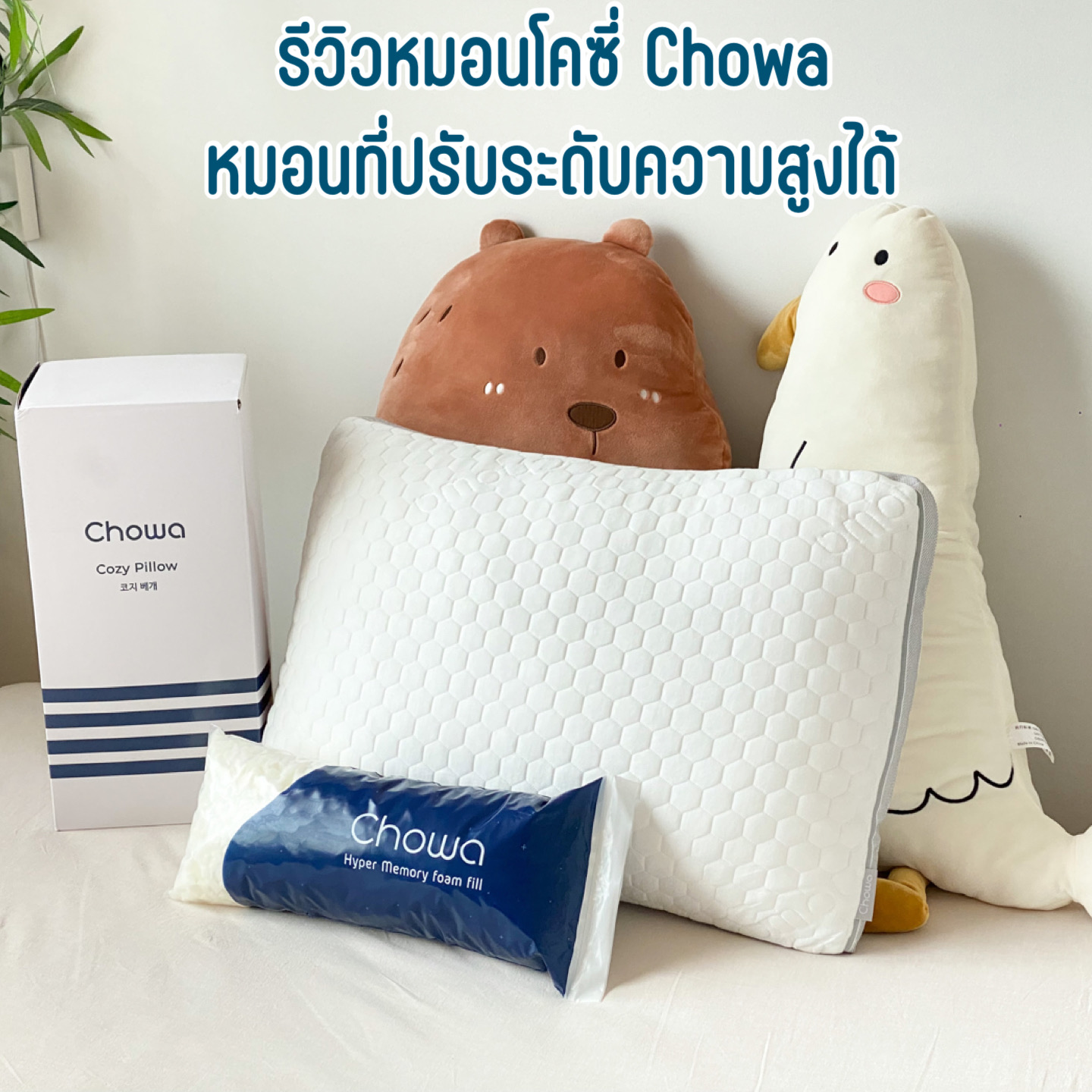ผมชอบแต่งบ้าน Facebook ad
