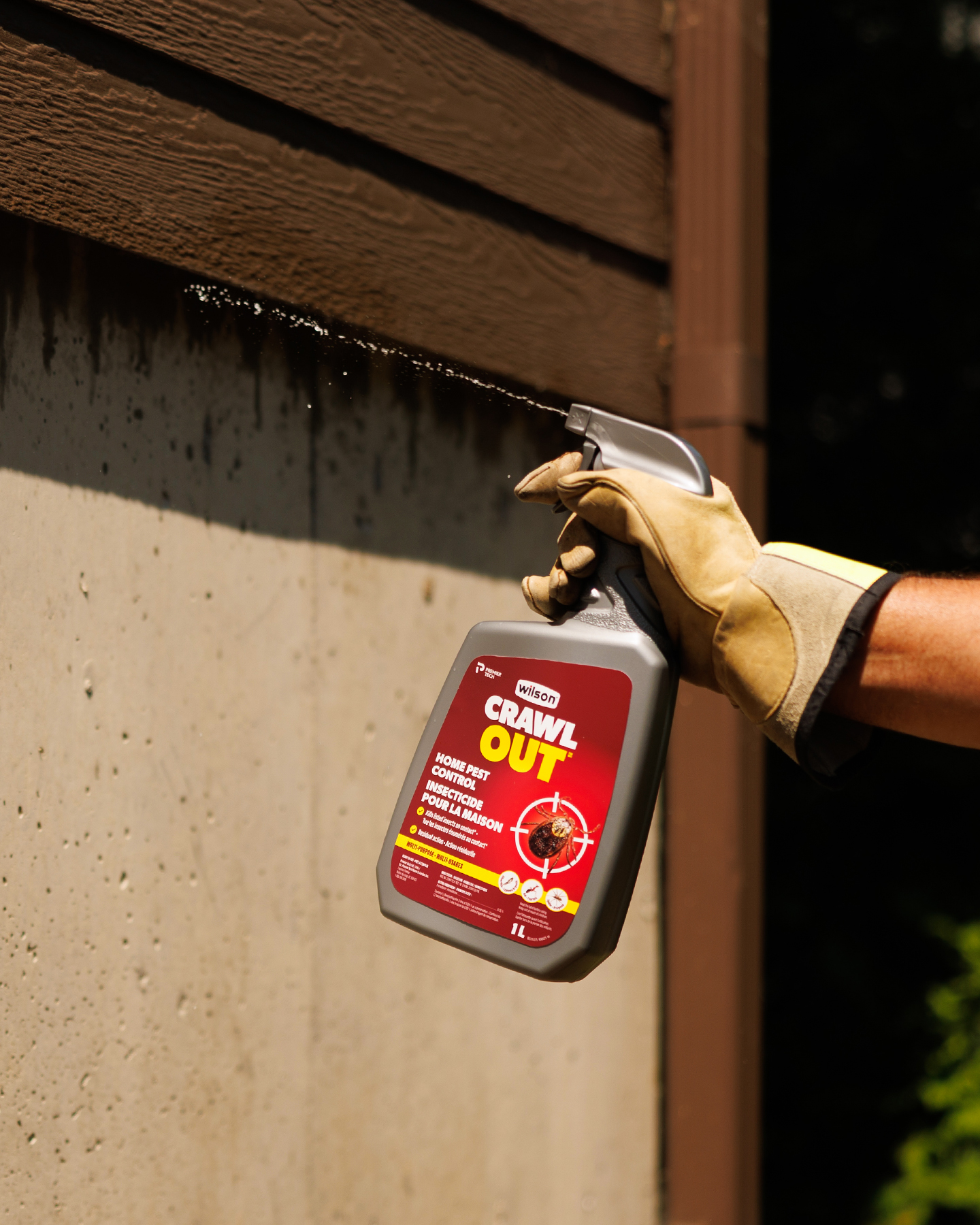 Wilson Facebook ad: CRAWL OUT Home Pest Control