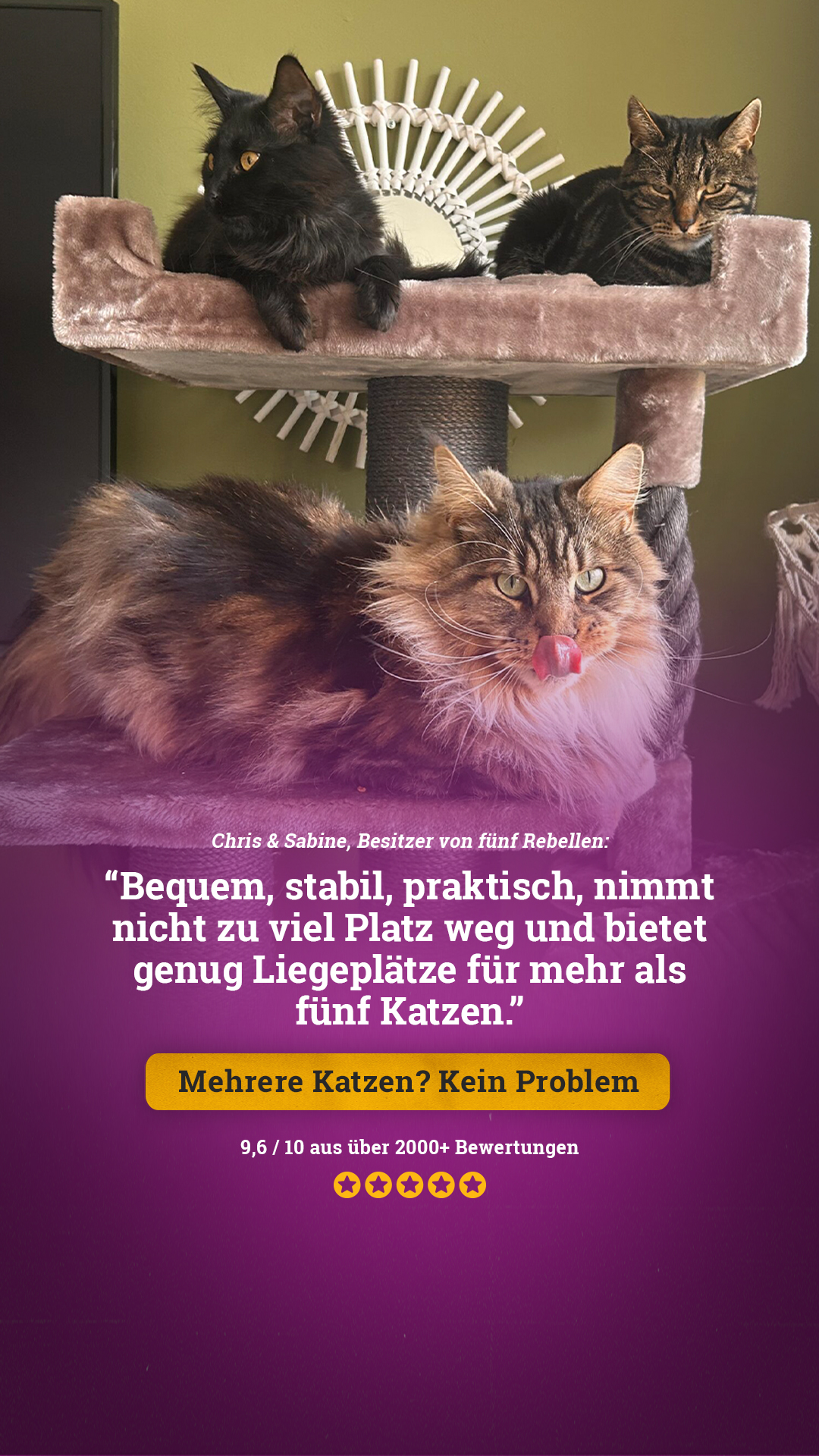 petrebels.com Facebook ad