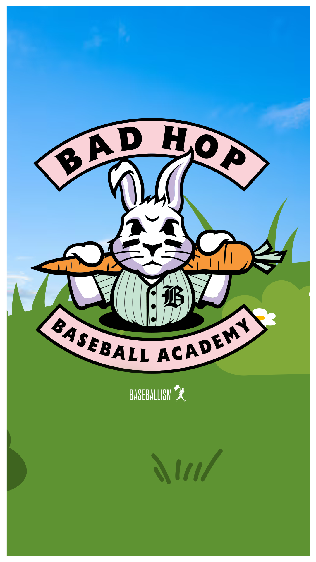 Baseballism Facebook ad
