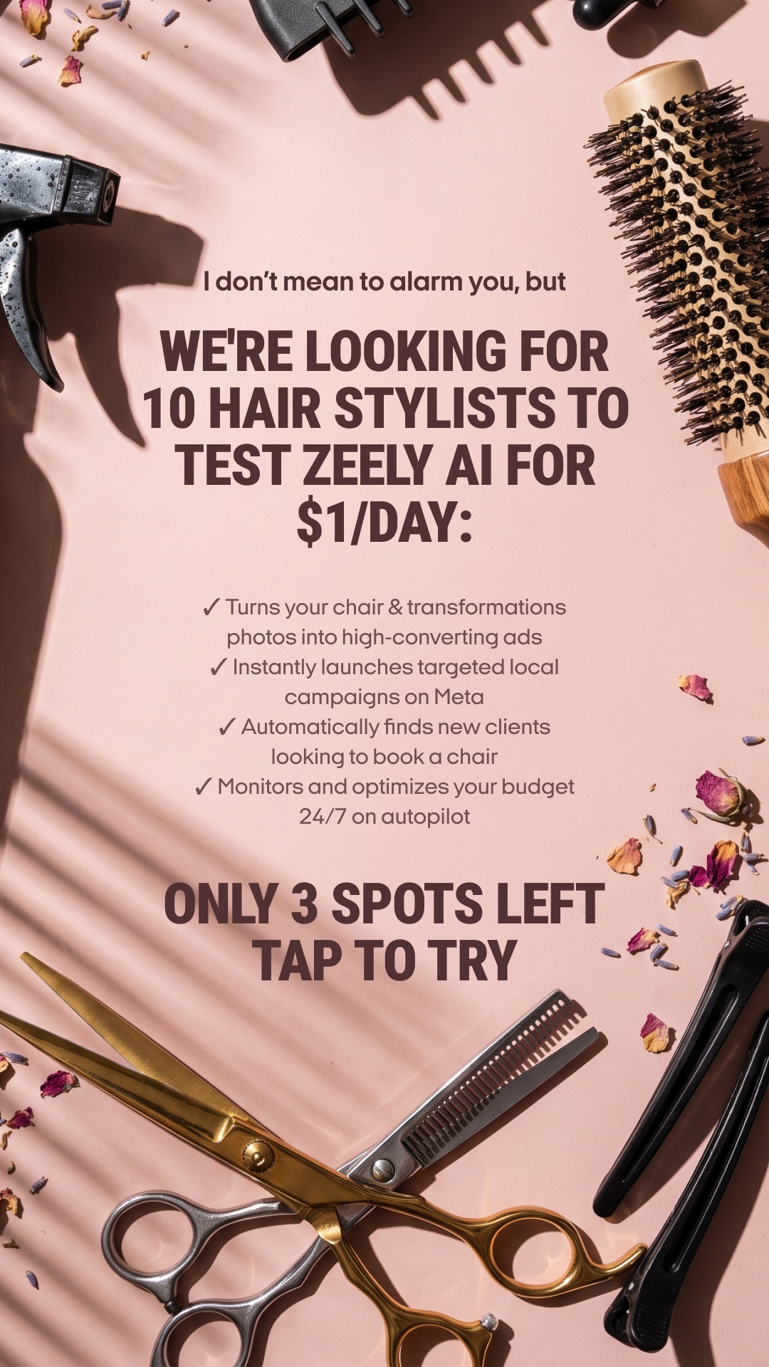Zeely Facebook ad