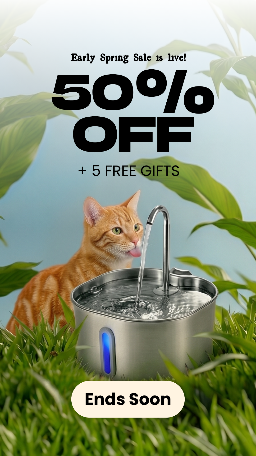 KittySpout Facebook ad