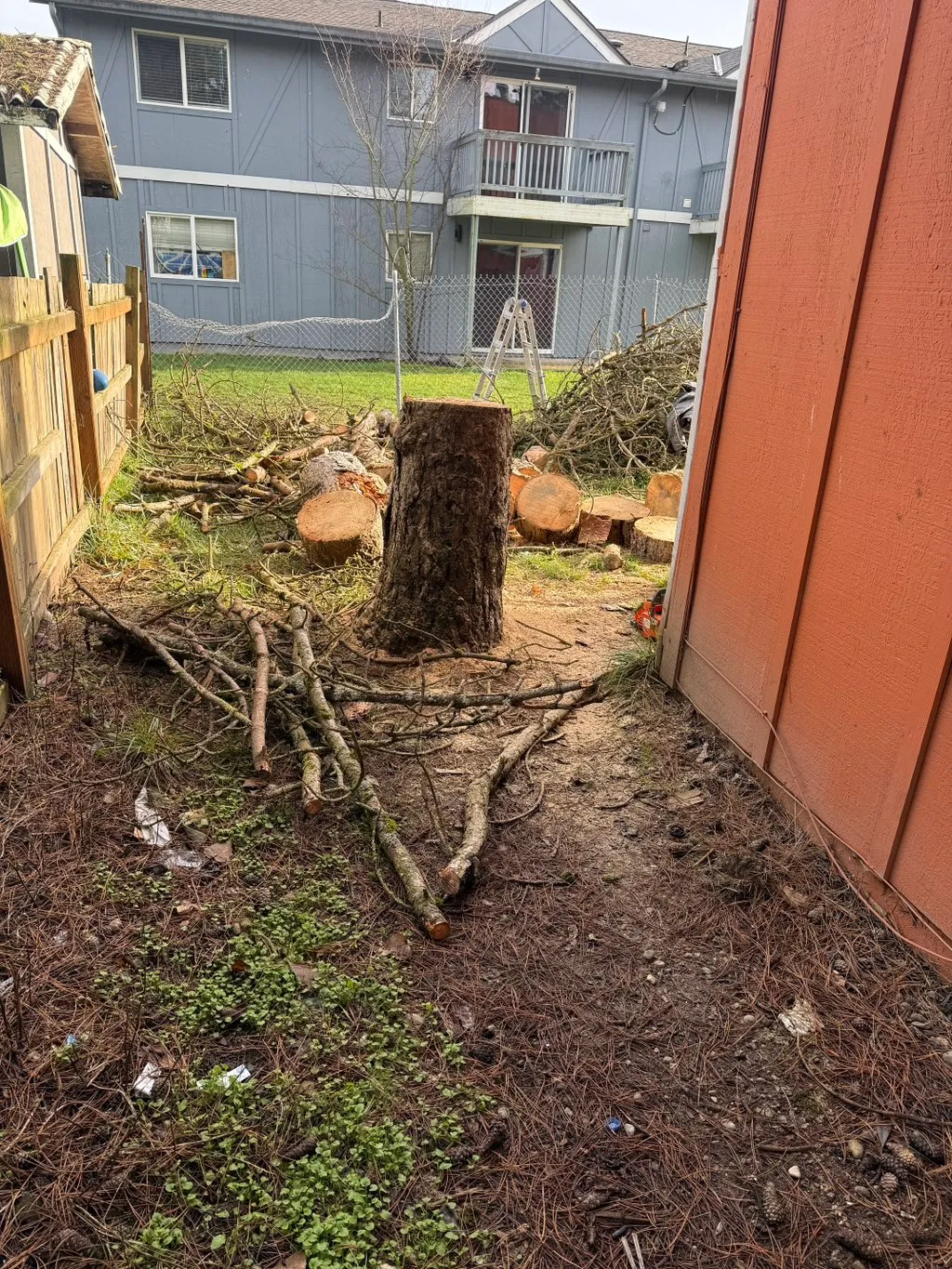 Whidbey Stump Removal LLC Facebook ad: Whidbey Stump Removal specializes in fast, clean stump…