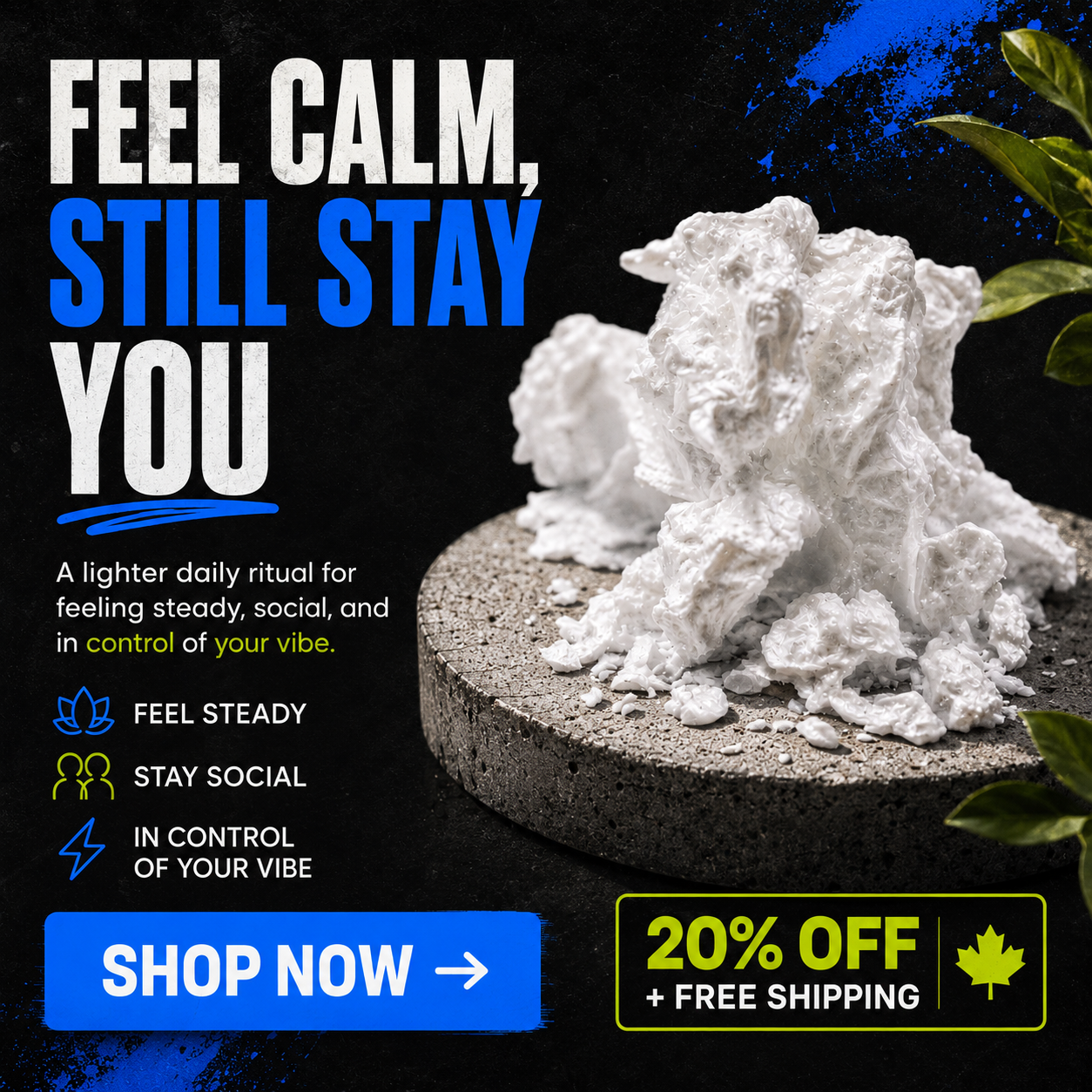 Vibe Check Wellness Facebook ad: Feel Better Without Going Overboard