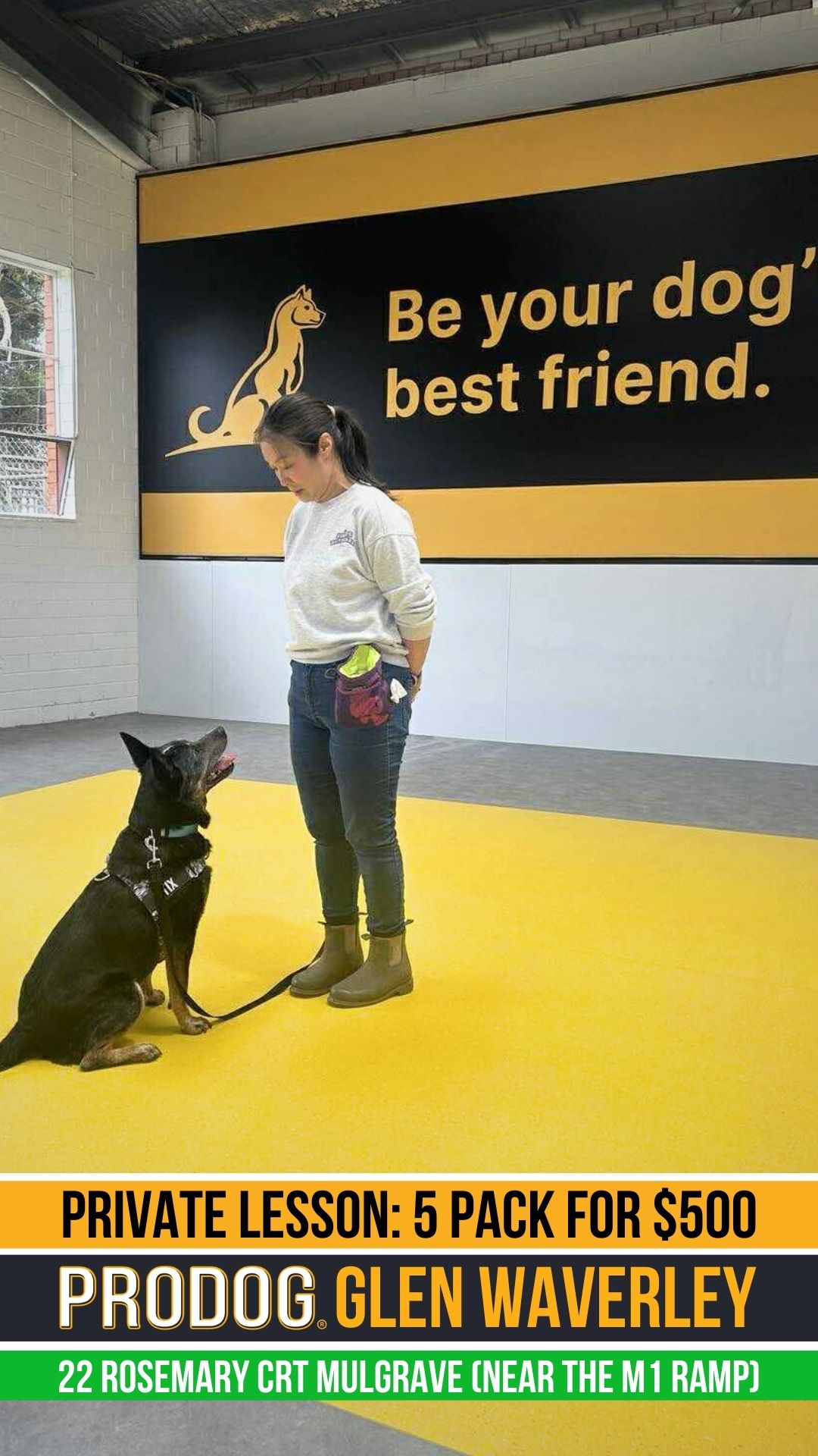 Pro Dog Training Facebook ad