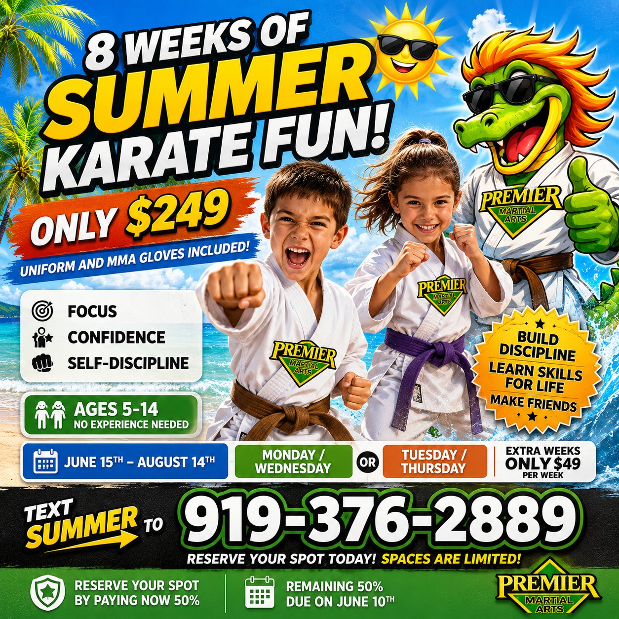 Premier Martial Arts Facebook ad: THE SUMMER COUNTDOWN HAS STARTED!