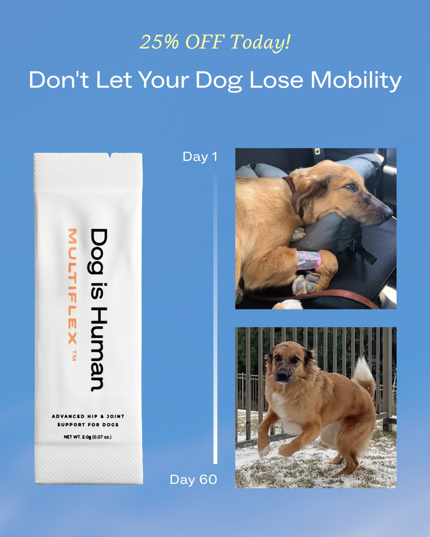 Dog is Human Facebook ad