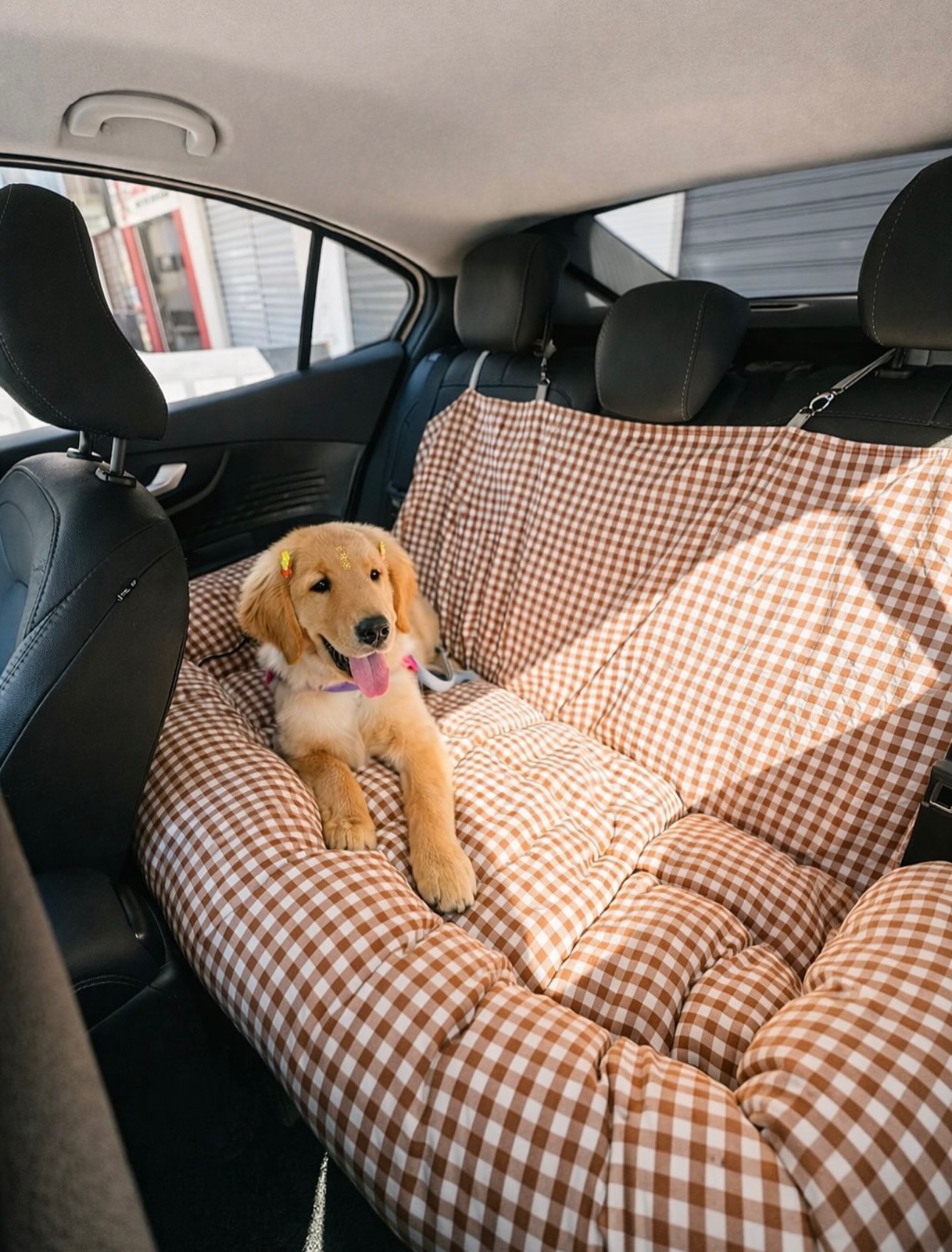 Pet marche Facebook ad: Janeiro mês de ferias, qual a nossa próxima…