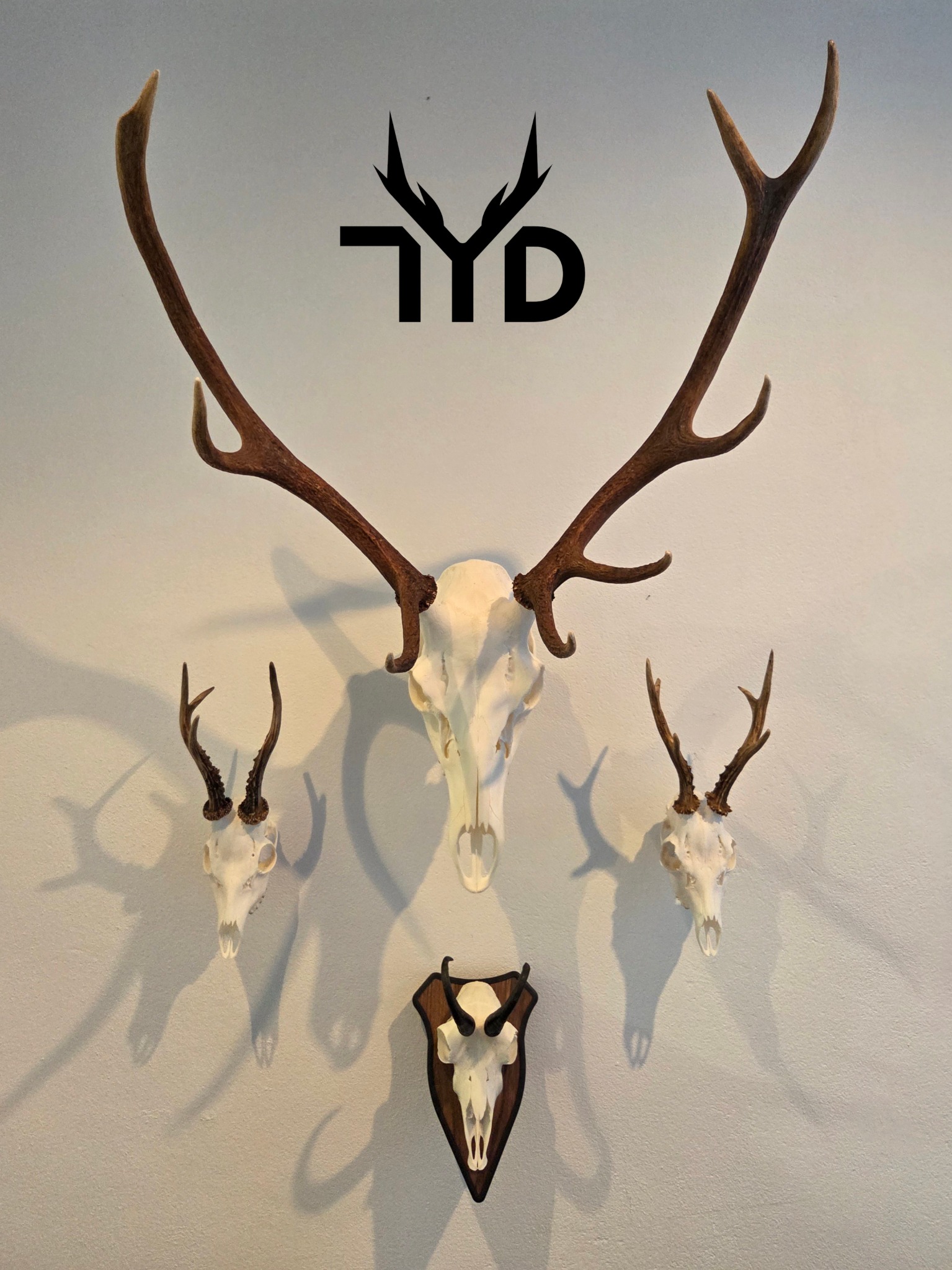 Trophy-Design Facebook ad: Schluss mit Opa-Optik. Zeit für Design.