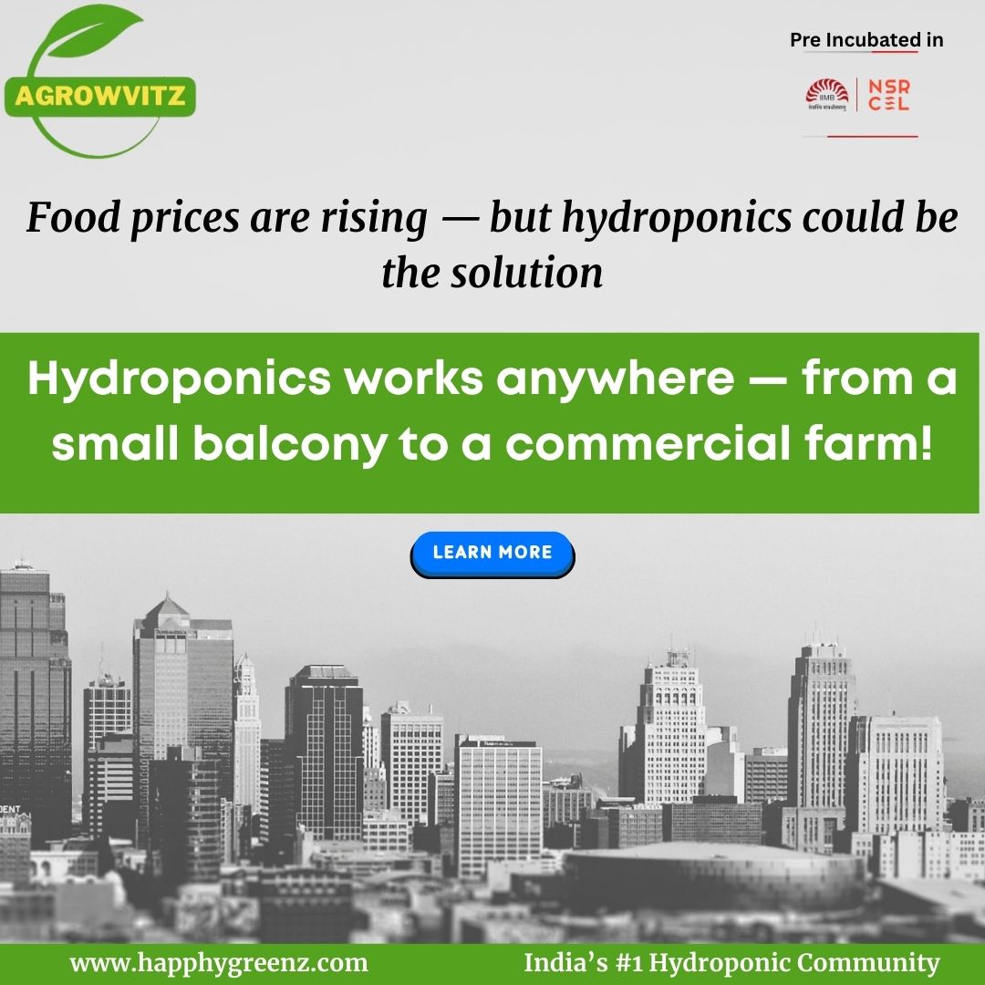 Happhy Greenz Facebook ad: Learn, grow, and live fresh, with hydroponic training…
