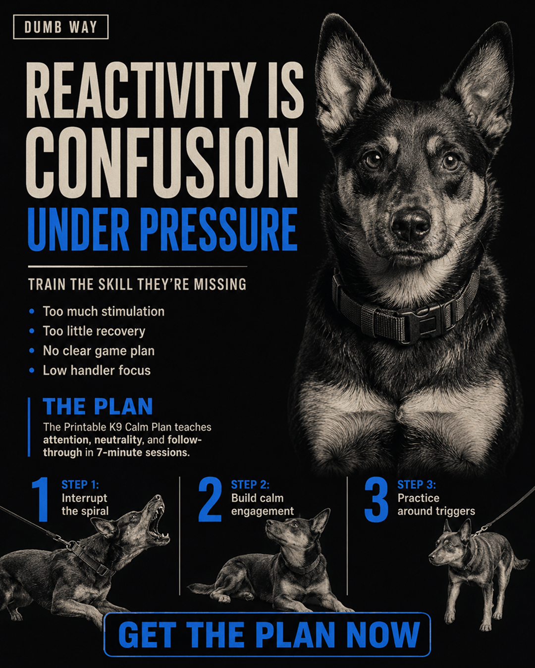 1st Dog Training Club Facebook ad