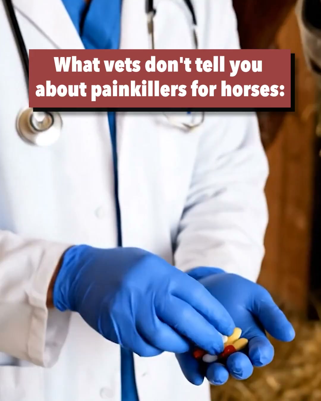 Wild Mane Facebook ad: Help your horse feel like themselves again