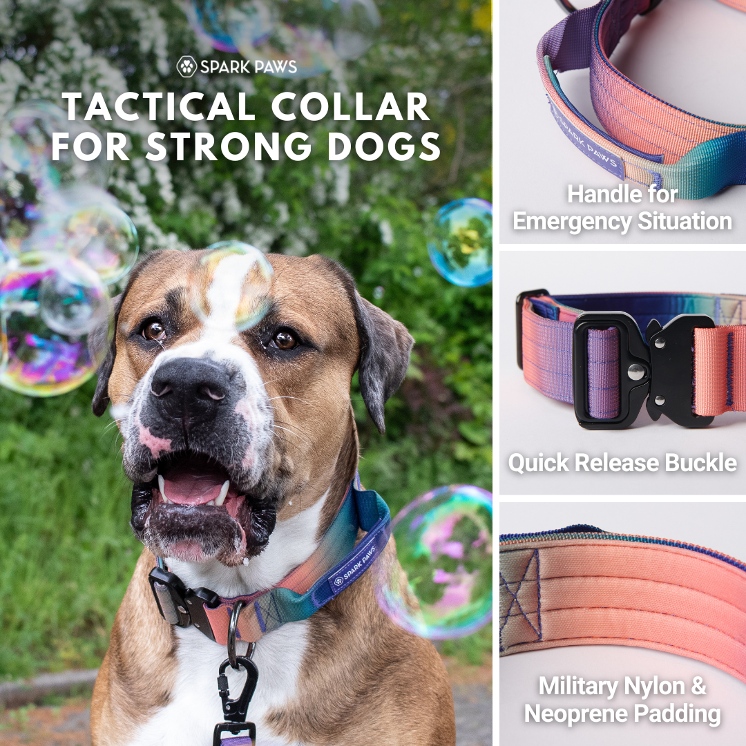 Spark Paws Facebook ad