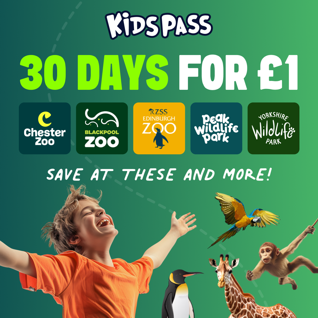 Kids Pass Facebook ad