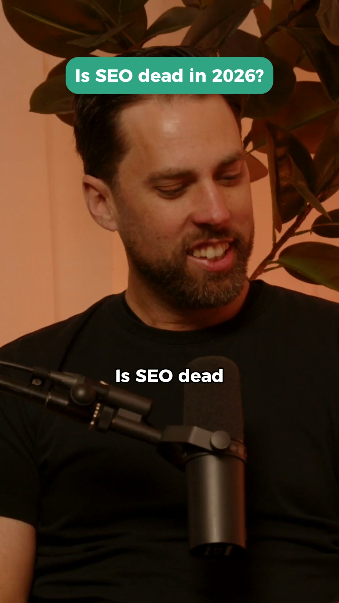 A.P. Web Solutions Facebook ad: Is SEO Dead in 2026?