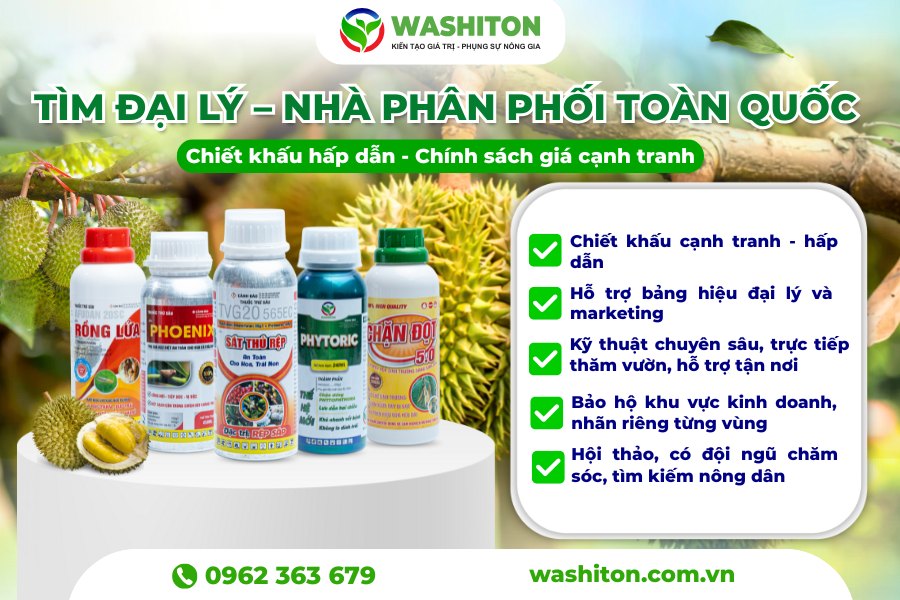 Washiton Company Facebook ad: WASHITON ĐÃ CÓ MẶT TRÊN 200+ ĐẠI LÝ…