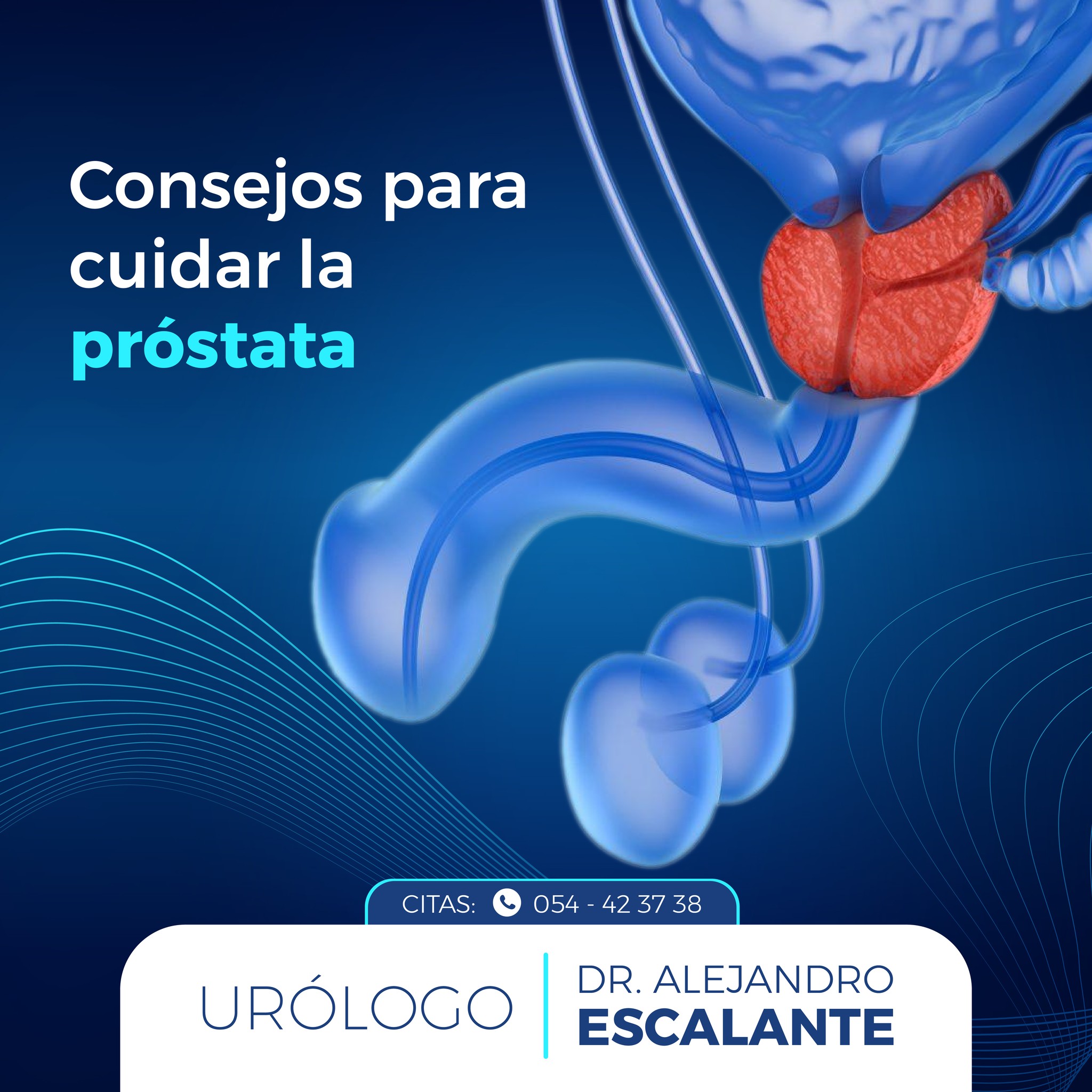Dr. Alejandro Escalante - Urólogo Facebook ad: La es un órgano muy importante en la…