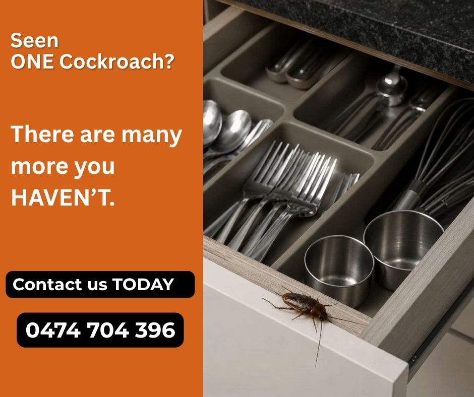 Quick pest & Termite control Facebook ad: Contact Us TODAY