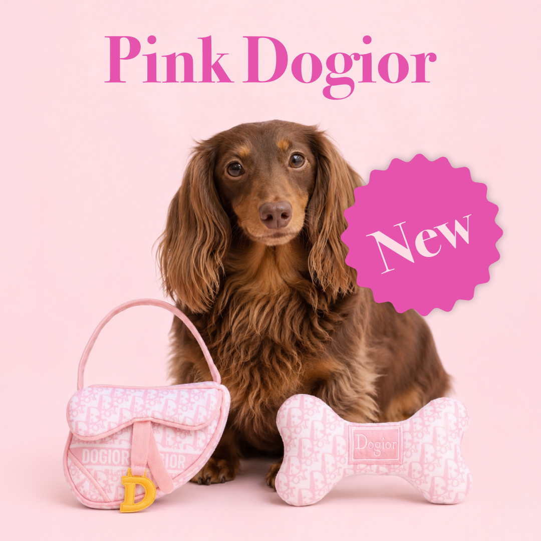 Haute Diggity Dog Facebook ad