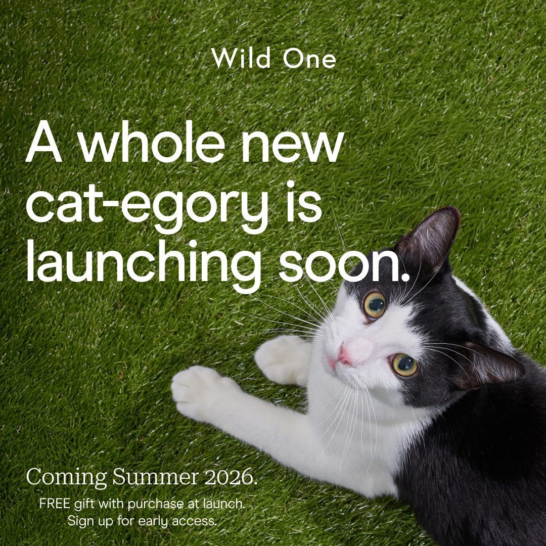 Wild One Facebook ad