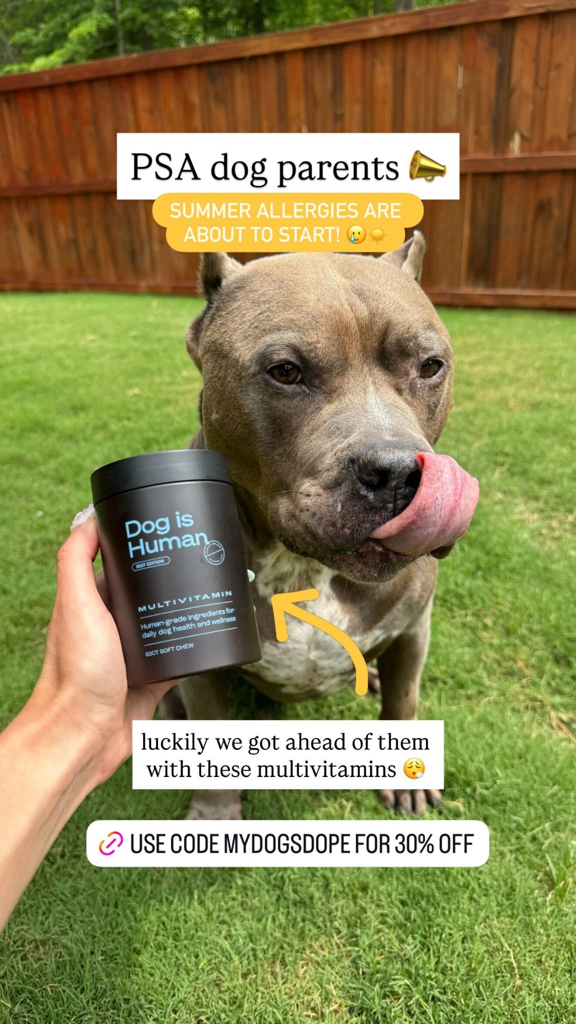 Dog is Human Facebook ad