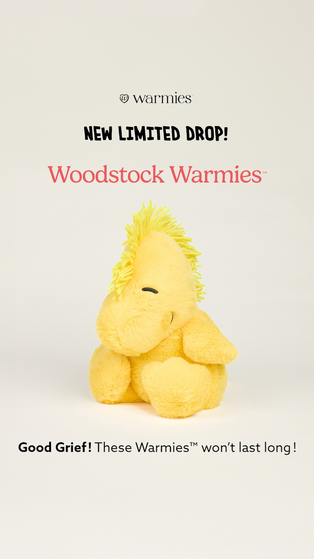 Warmies USA Facebook ad
