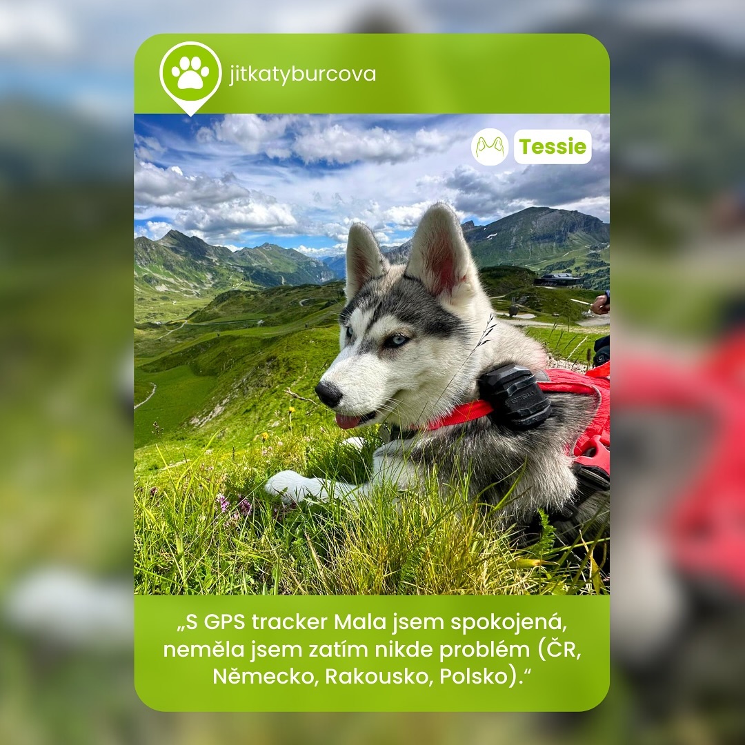 MALA GPS Facebook ad