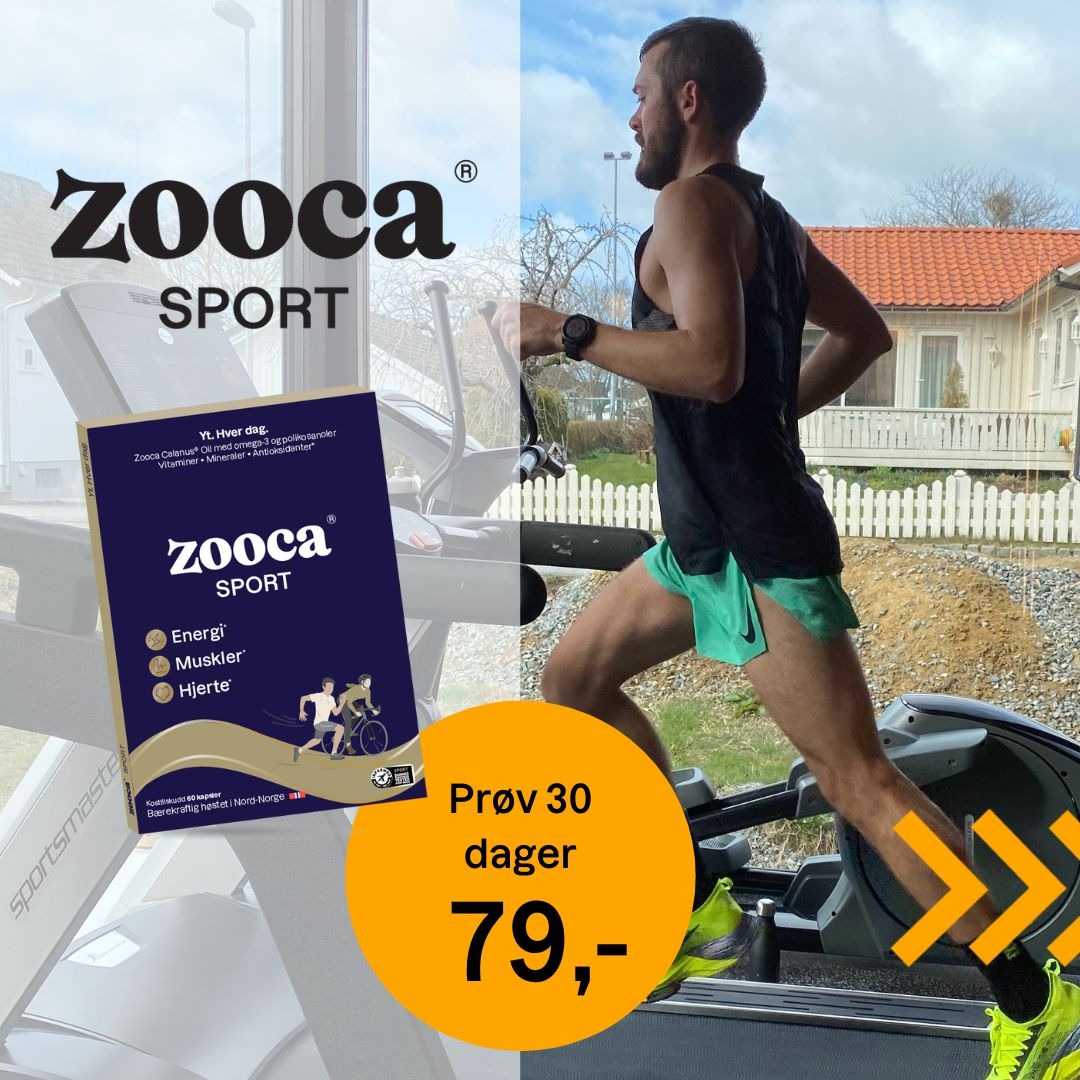 Zooca Facebook ad