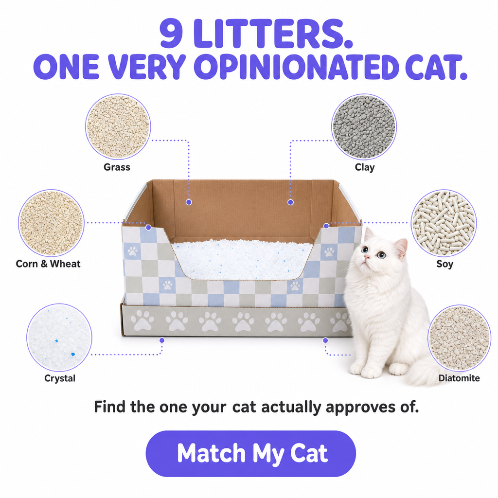 Kitty Poo Club Facebook ad