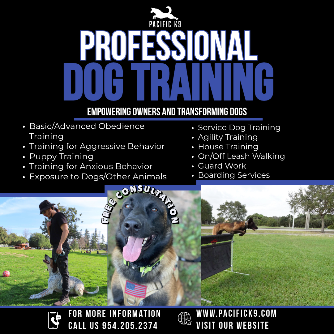 Pacific K9 Facebook ad from Feb 19, 2026
