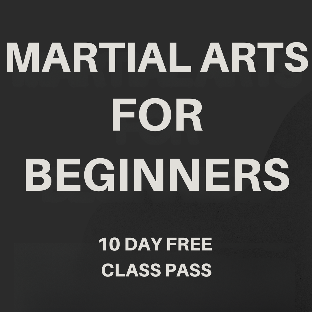 World Kickboxing Academy Facebook ad: Want a FREE 10-Day, Martial Arts Class Pass?