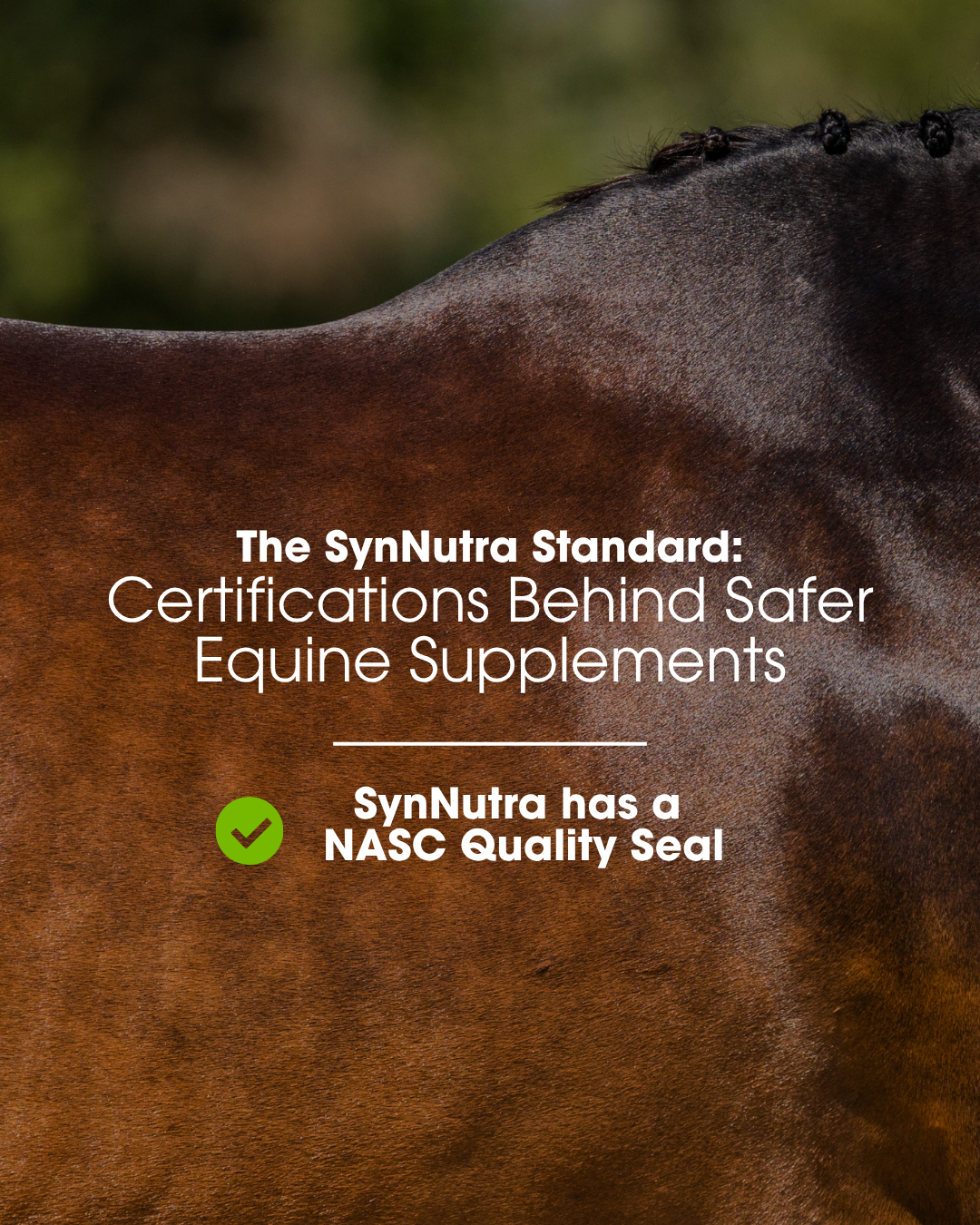 SynNutra Equine Facebook ad: Not all supplements are created equal.