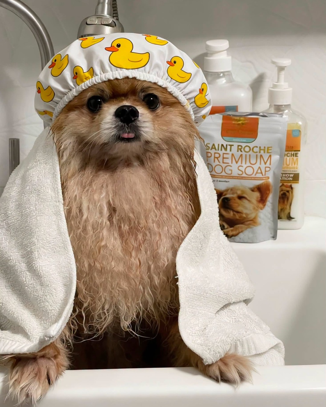 Saint Roche Premium Dog Shampoo Facebook ad