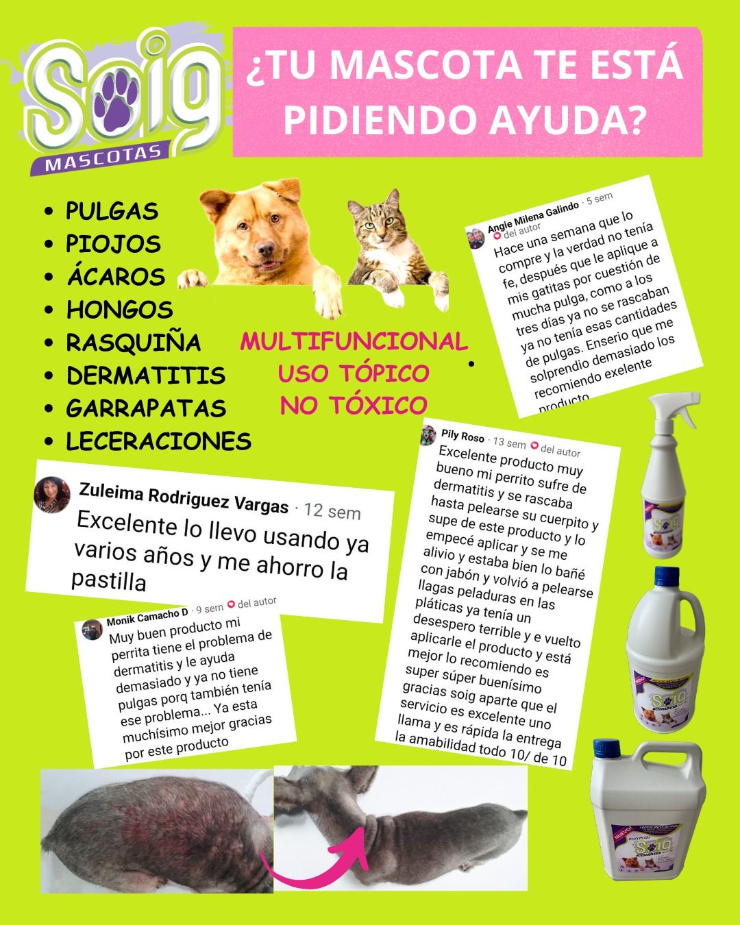 SOIG Mascotas-Productos Facebook ad: SOIG MASCOTAS SPRAY