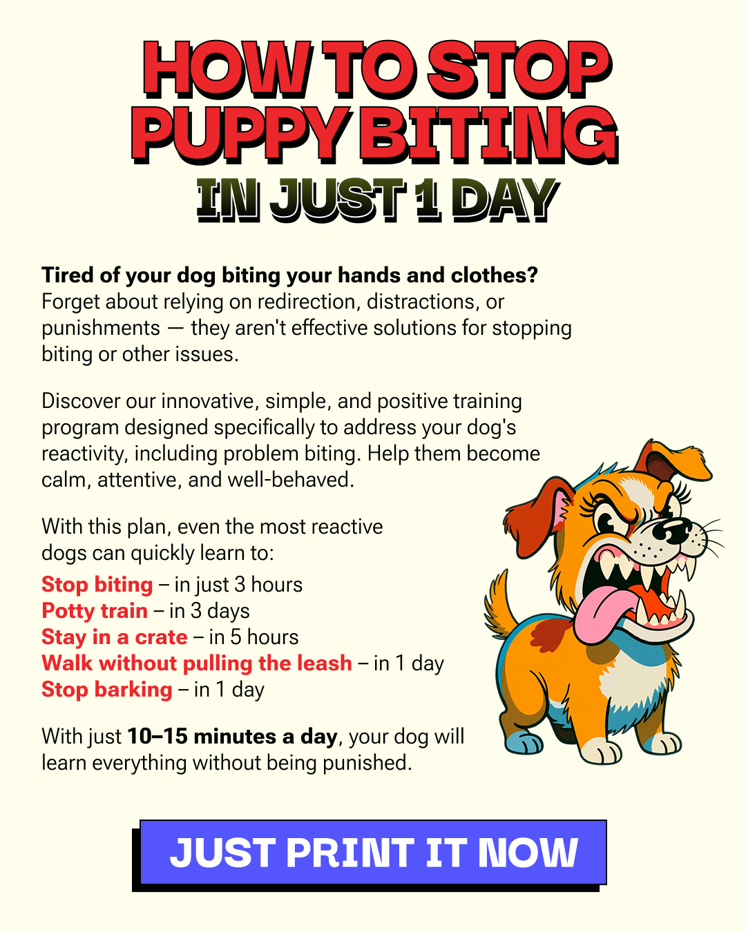 Ben Your Puppy Trainer Facebook ad