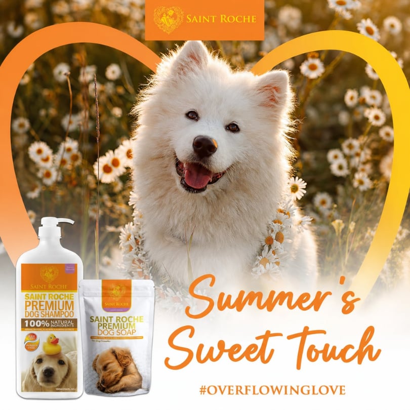 Saint Roche Premium Dog Shampoo Facebook ad