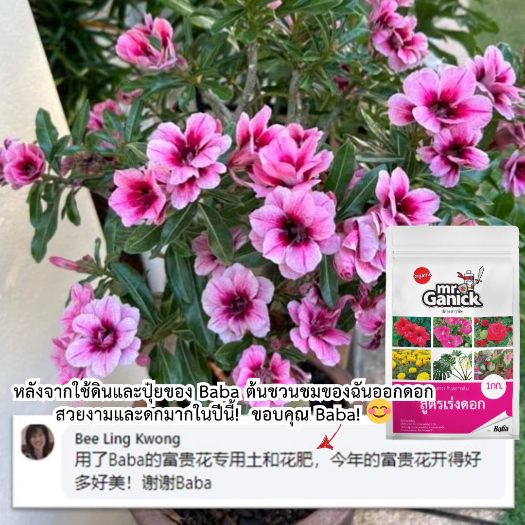 Baba Gardening _ บาบา การ์เดนนิ่ง Facebook ad