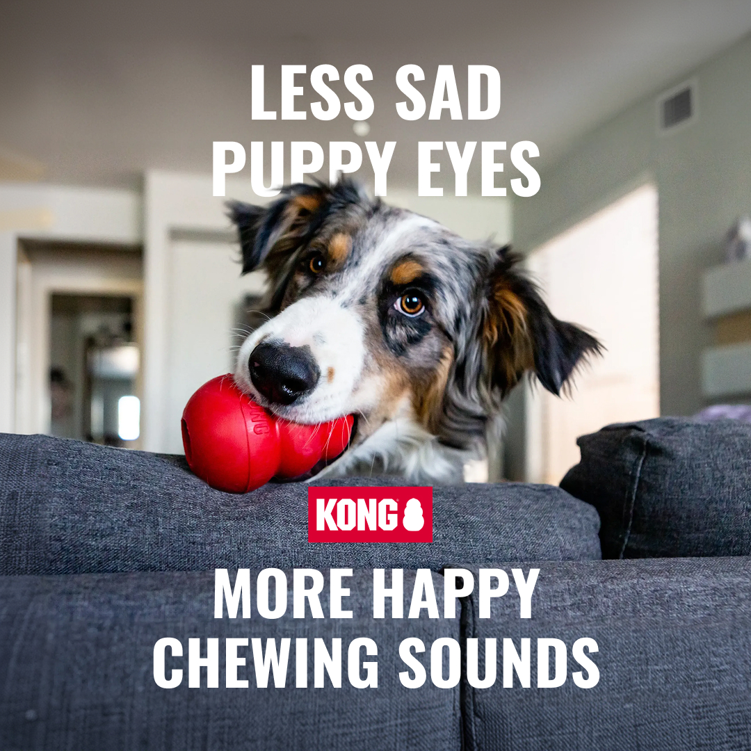 KONG Facebook ad