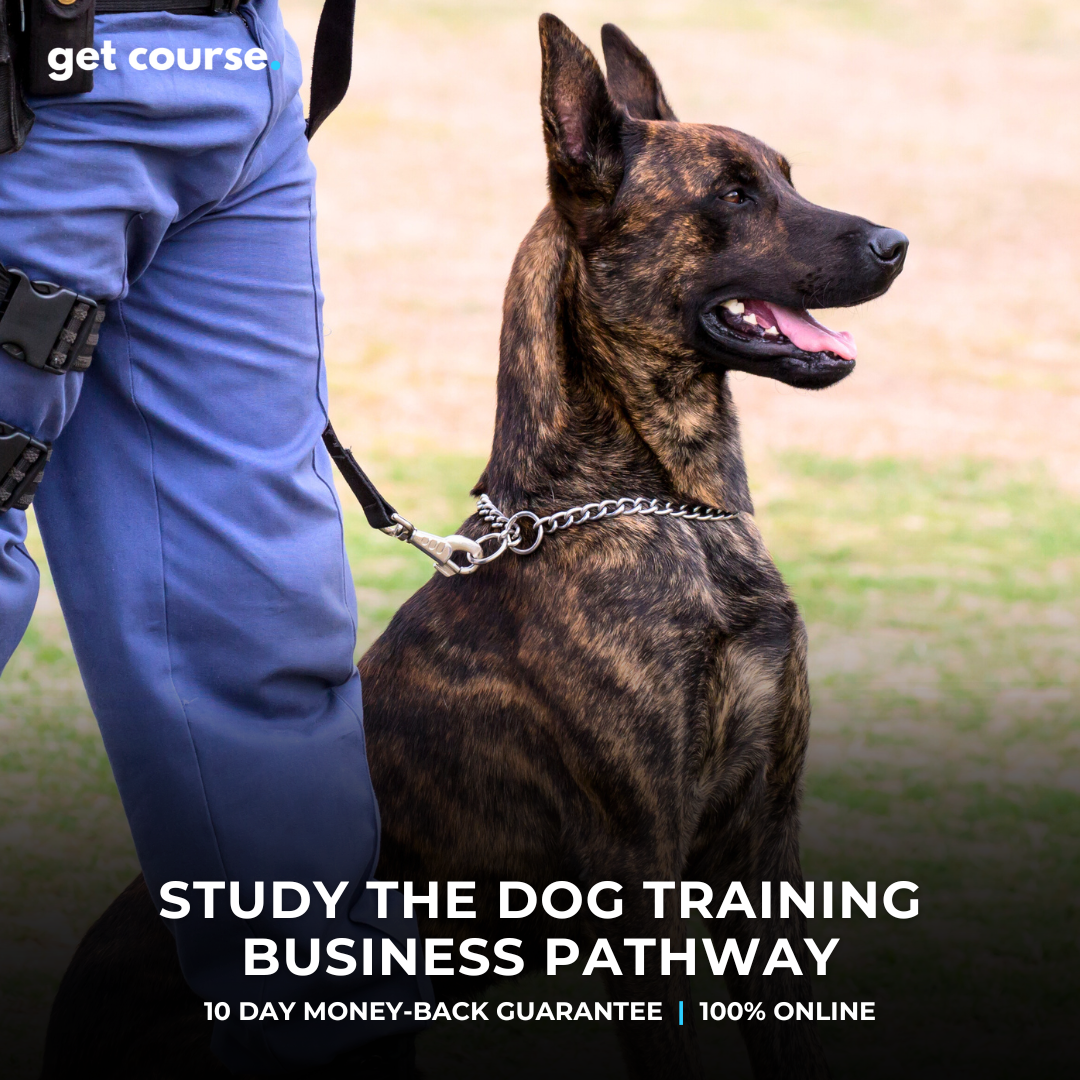 Get Course Co Facebook ad