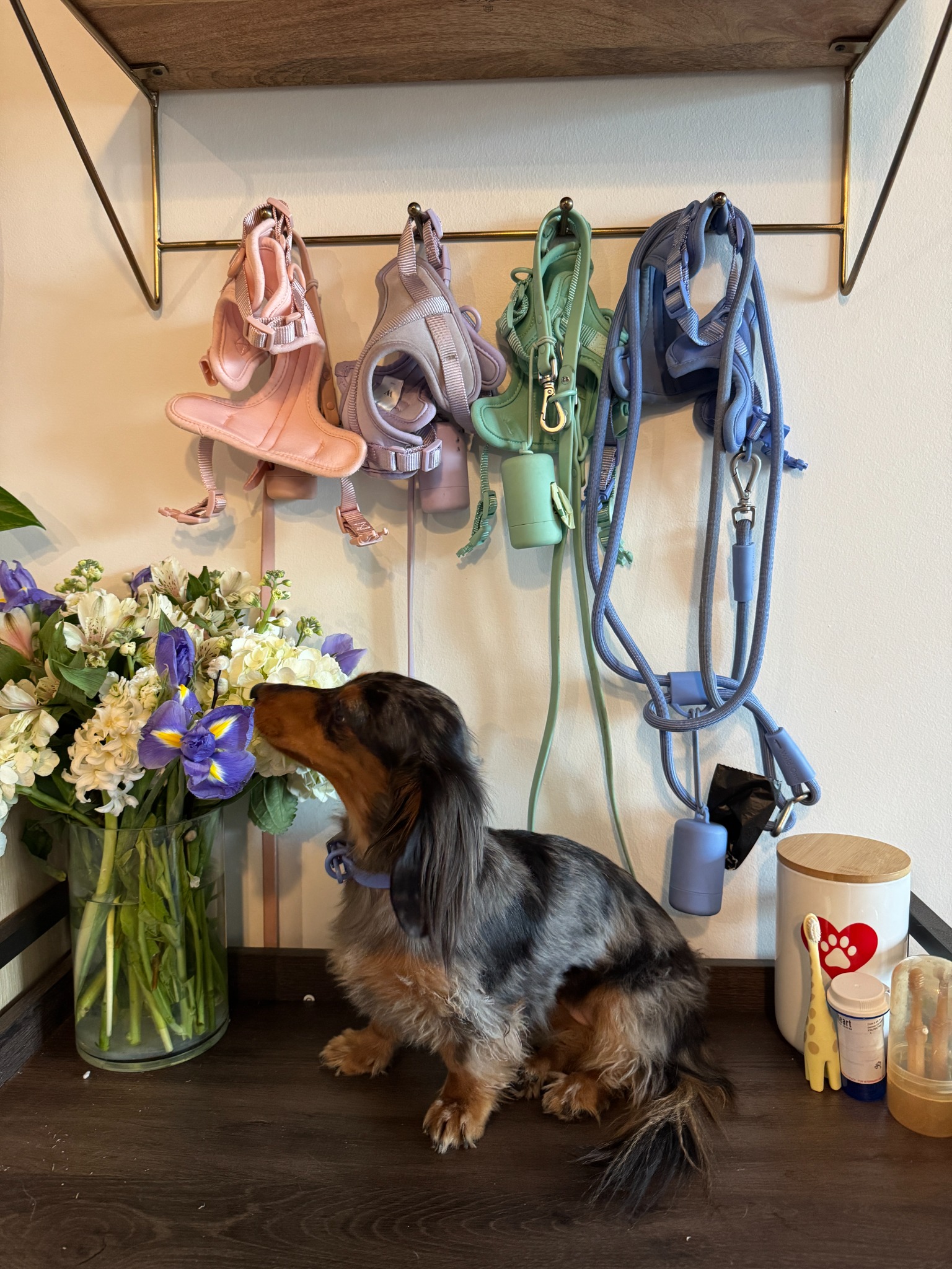 Puppy Parents Facebook ad