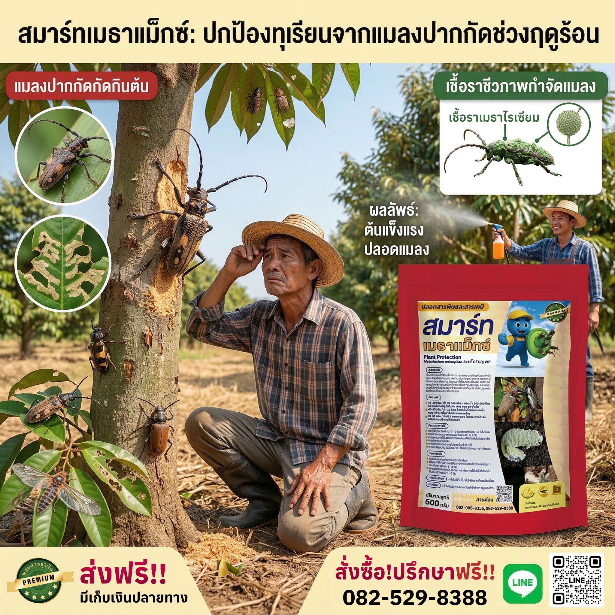 ไตรโครสมาร์ท ชีวภัณฑ์ผสมสารจับใบ พรีเมี่ยม คุณภาพสูง Facebook ad: ร้อนนี้ ทุเรียนต้องรอด ปราบแมลงปากกัด ด้วงหนวดยาวเจาะต้น…
