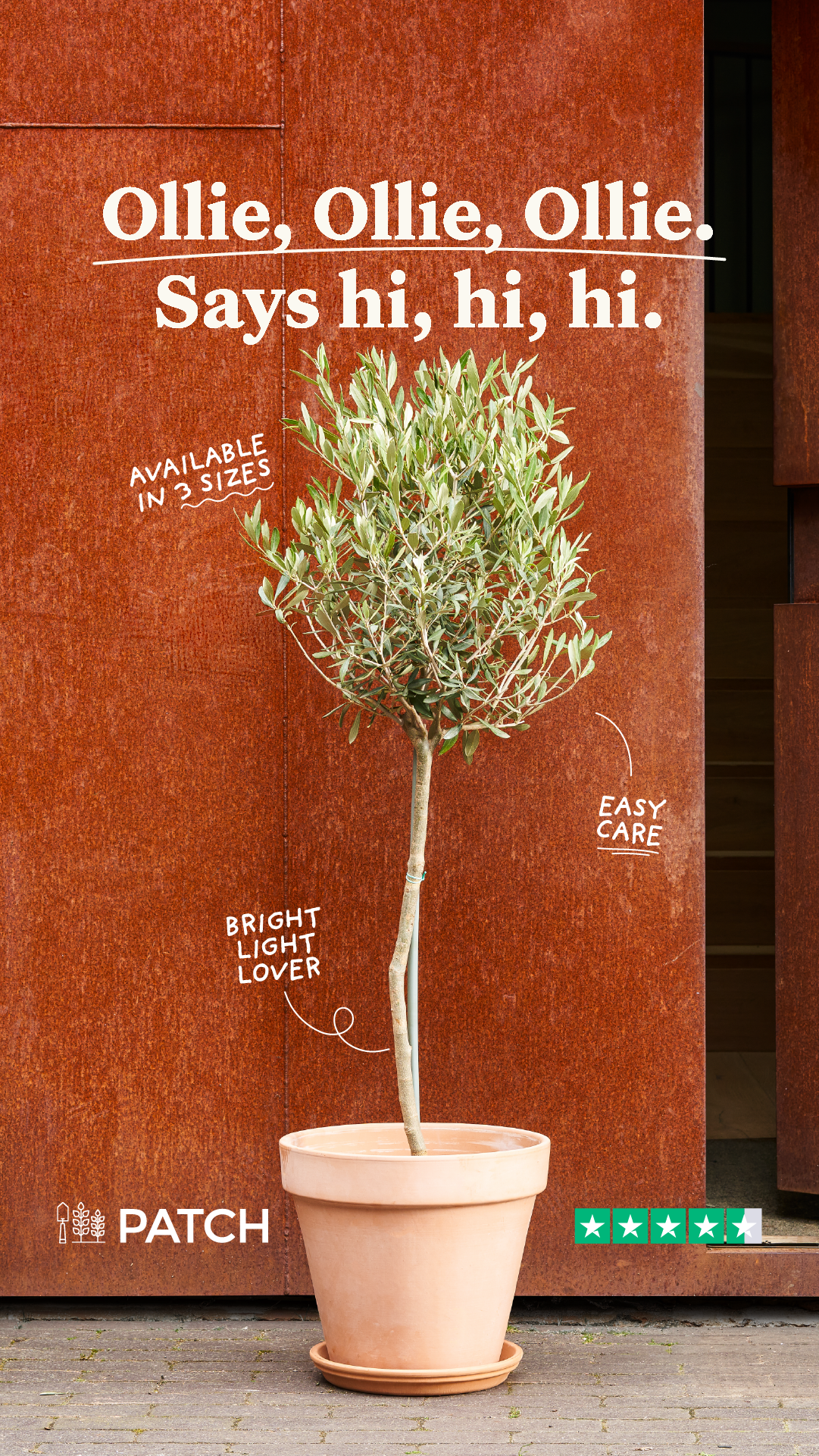 Patch plants Facebook ad