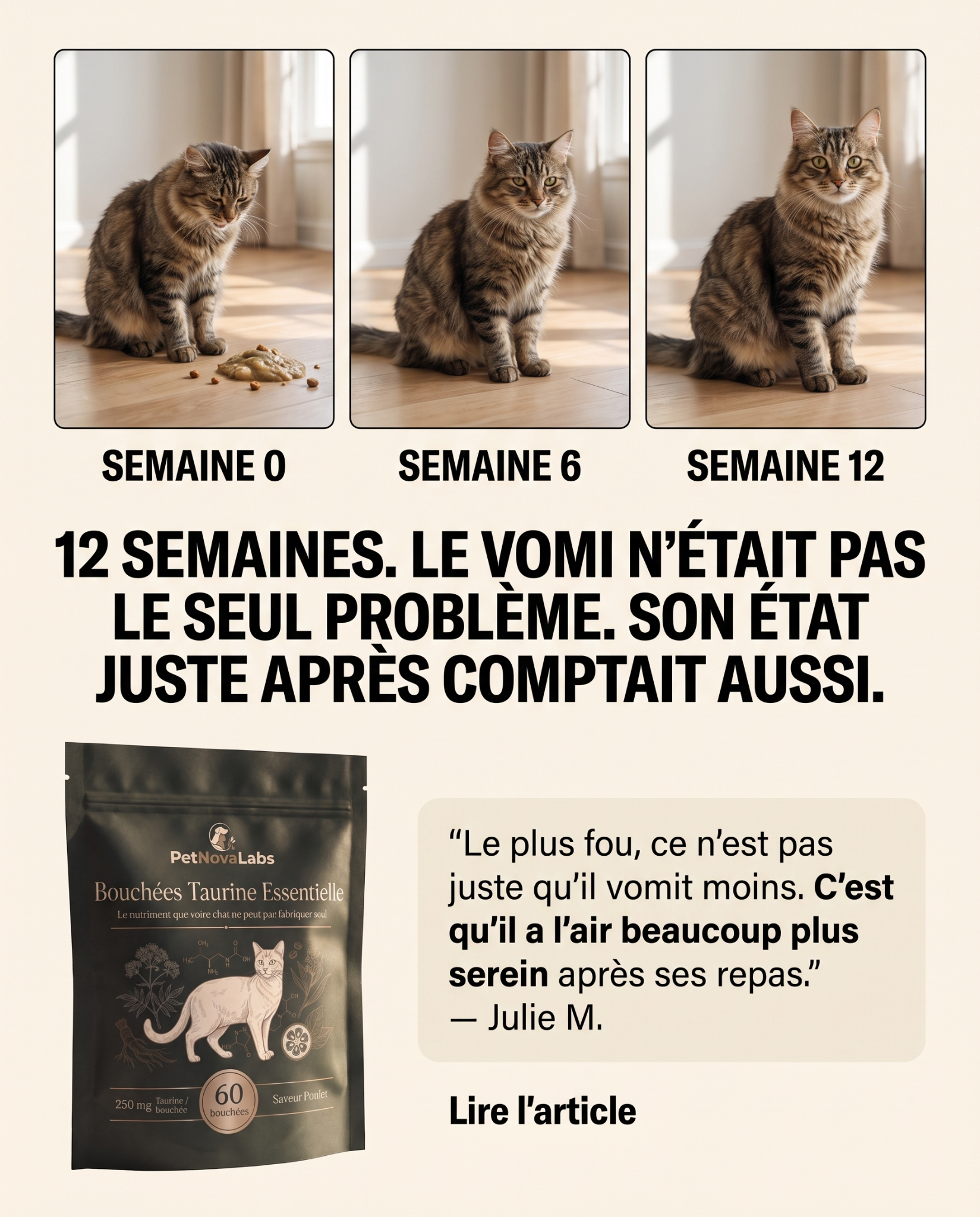 Sophie Martin Facebook ad: STOP: ne changez pas encore ses croquettes