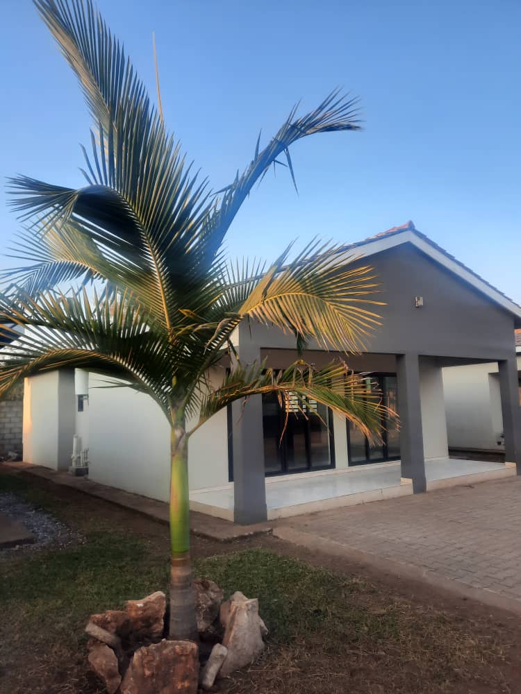 Safari Dream Homes Facebook ad: **HOUSES FOR RENT, LILAYI **