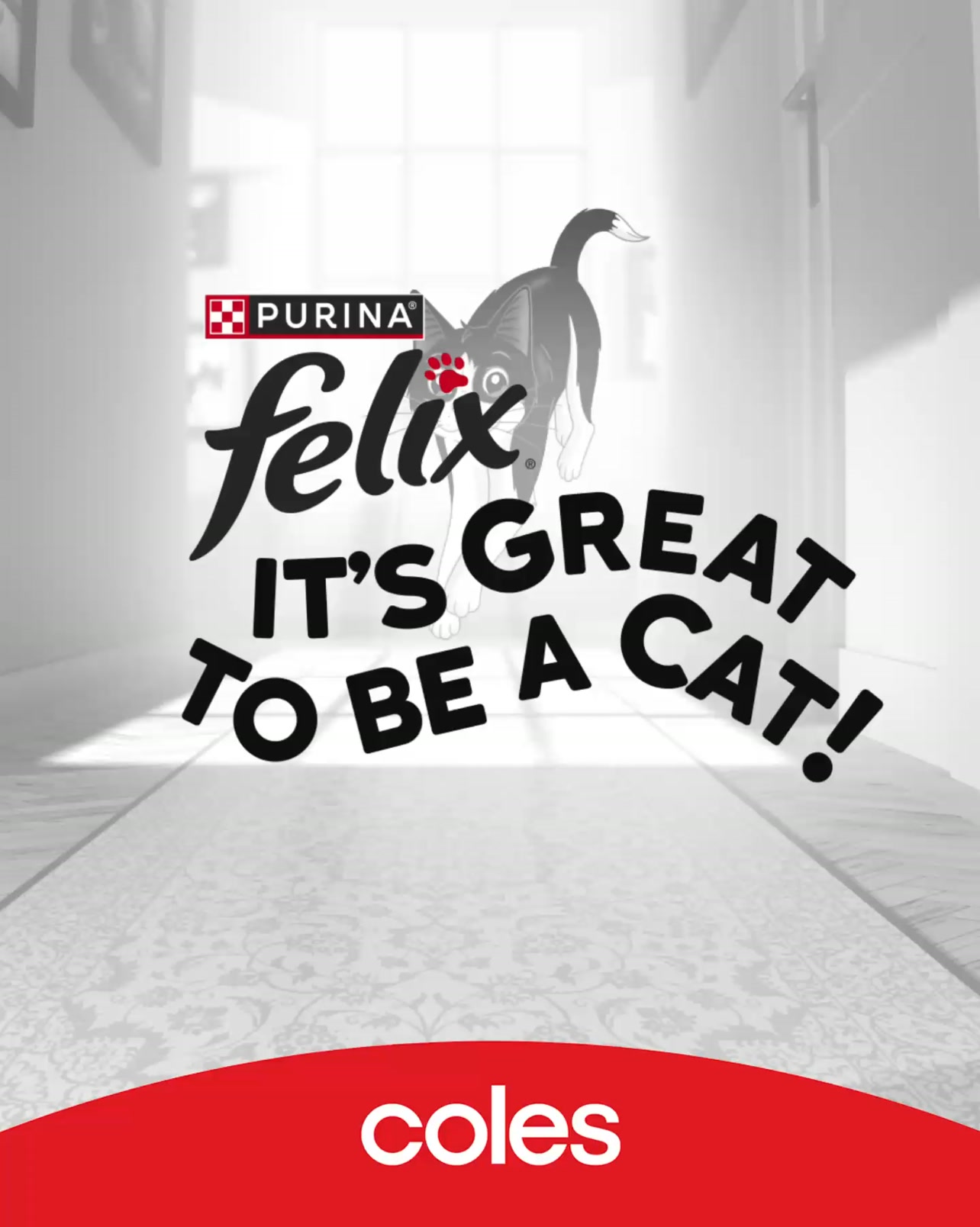 Coles Facebook ad: Felix Cat Food 12 x 85g