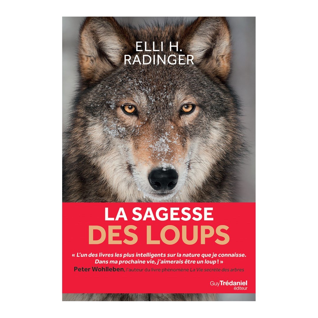 Nature et Découvertes Facebook ad