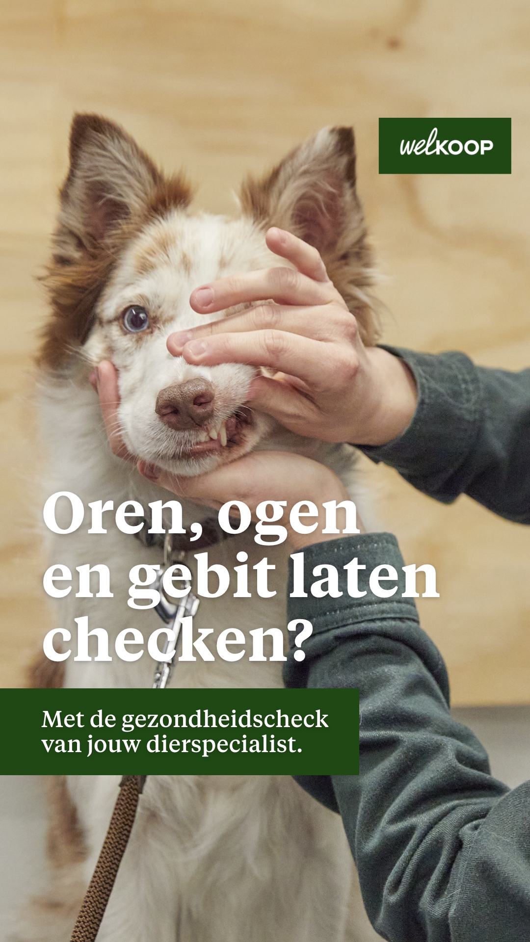 Welkoop Facebook ad