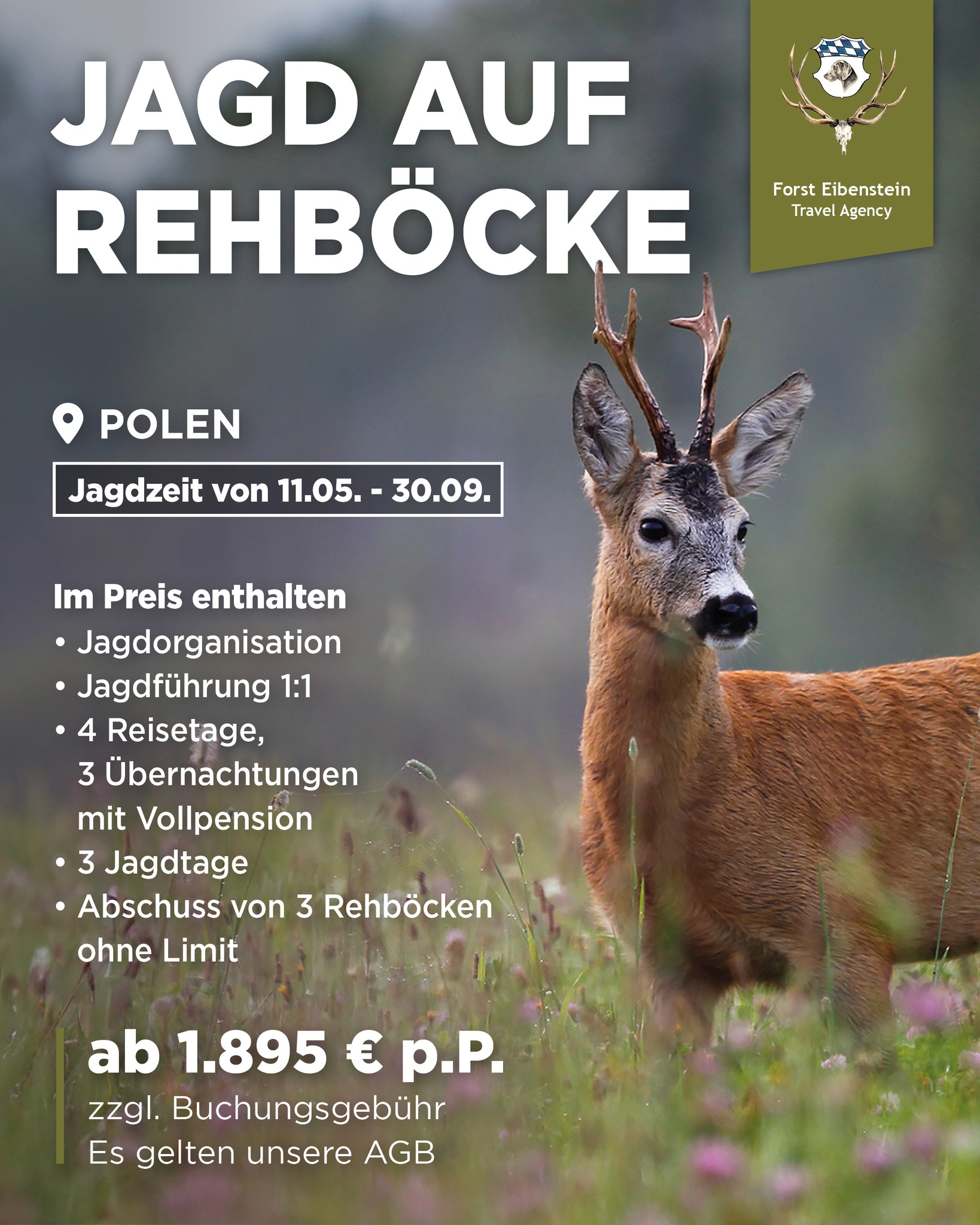 Forst Eibenstein Travel Agency Facebook ad